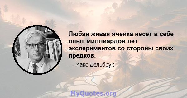 Любая живая ячейка несет в себе опыт миллиардов лет экспериментов со стороны своих предков.