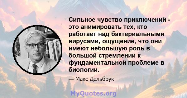 Сильное чувство приключений - это анимировать тех, кто работает над бактериальными вирусами, ощущение, что они имеют небольшую роль в большой стремлении к фундаментальной проблеме в биологии.