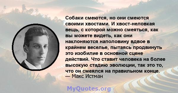 Собаки смеются, но они смеются своими хвостами. И хвост-неловкая вещь, с которой можно смеяться, как вы можете видеть, как они наклоняются наполовину вдвое в крайнем веселье, пытаясь продвинуть это изобилие в основной