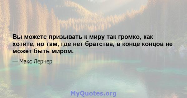 Вы можете призывать к миру так громко, как хотите, но там, где нет братства, в конце концов не может быть миром.