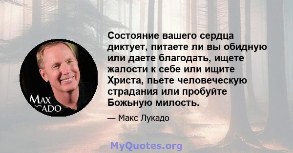 Состояние вашего сердца диктует, питаете ли вы обидную или даете благодать, ищете жалости к себе или ищите Христа, пьете человеческую страдания или пробуйте Божьную милость.