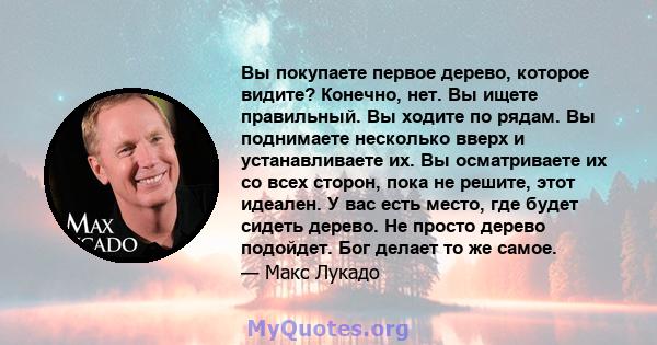 Вы покупаете первое дерево, которое видите? Конечно, нет. Вы ищете правильный. Вы ходите по рядам. Вы поднимаете несколько вверх и устанавливаете их. Вы осматриваете их со всех сторон, пока не решите, этот идеален. У