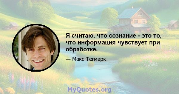 Я считаю, что сознание - это то, что информация чувствует при обработке.