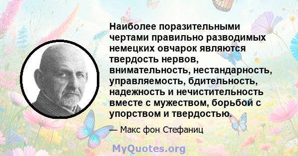 Наиболее поразительными чертами правильно разводимых немецких овчарок являются твердость нервов, внимательность, нестандарность, управляемость, бдительность, надежность и нечистительность вместе с мужеством, борьбой с