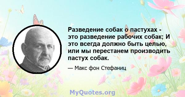 Разведение собак о пастухах - это разведение рабочих собак; И это всегда должно быть целью, или мы перестанем производить пастух собак.