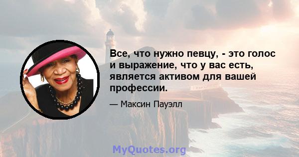 Все, что нужно певцу, - это голос и выражение, что у вас есть, является активом для вашей профессии.