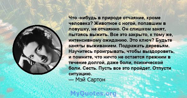 Что -нибудь в природе отчаяние, кроме человека? Животное с ногой, попавшим в ловушку, не отчаянно. Он слишком занят, пытаясь выжить. Все это закрыто, к тому же, интенсивному ожиданию. Это ключ? Будьте заняты выживанием. 