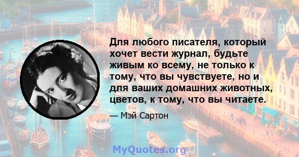 Для любого писателя, который хочет вести журнал, будьте живым ко всему, не только к тому, что вы чувствуете, но и для ваших домашних животных, цветов, к тому, что вы читаете.