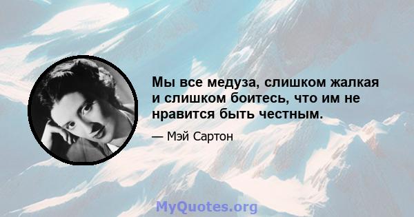 Мы все медуза, слишком жалкая и слишком боитесь, что им не нравится быть честным.