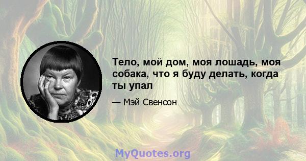 Тело, мой дом, моя лошадь, моя собака, что я буду делать, когда ты упал