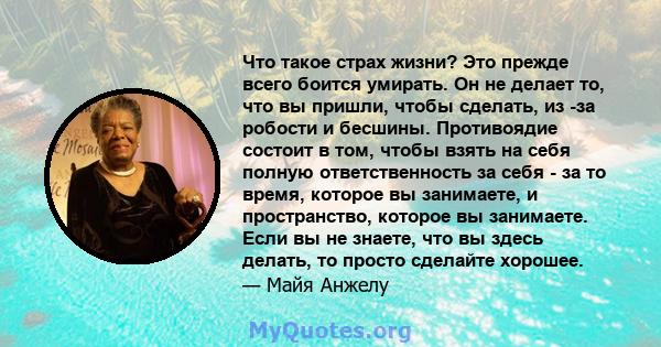 Что такое страх жизни? Это прежде всего боится умирать. Он не делает то, что вы пришли, чтобы сделать, из -за робости и бесшины. Противоядие состоит в том, чтобы взять на себя полную ответственность за себя - за то