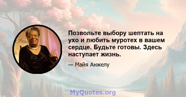 Позвольте выбору шептать на ухо и любить муротех в вашем сердце. Будьте готовы. Здесь наступает жизнь.