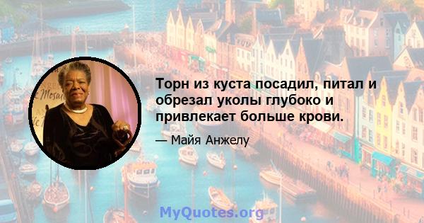 Торн из куста посадил, питал и обрезал уколы глубоко и привлекает больше крови.