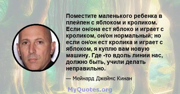 Поместите маленького ребенка в плейпен с яблоком и кроликом. Если он/она ест яблоко и играет с кроликом, он/он нормальный; но если он/он ест кролика и играет с яблоком, я куплю вам новую машину. Где -то вдоль линии нас, 