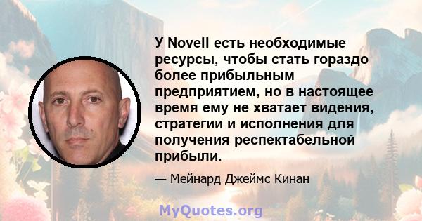 У Novell есть необходимые ресурсы, чтобы стать гораздо более прибыльным предприятием, но в настоящее время ему не хватает видения, стратегии и исполнения для получения респектабельной прибыли.