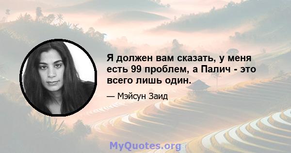 Я должен вам сказать, у меня есть 99 проблем, а Палич - это всего лишь один.