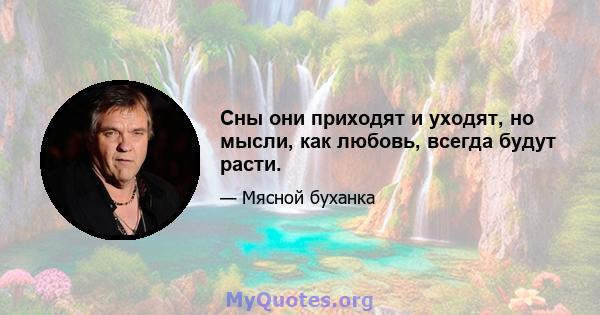 Сны они приходят и уходят, но мысли, как любовь, всегда будут расти.