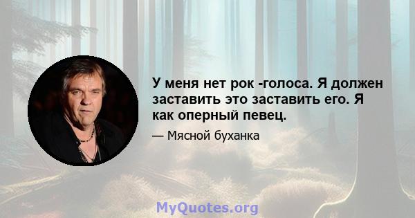 У меня нет рок -голоса. Я должен заставить это заставить его. Я как оперный певец.