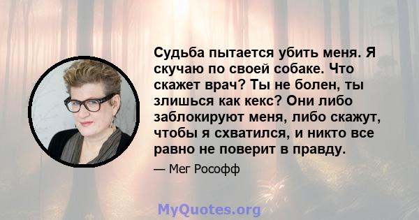 Судьба пытается убить меня. Я скучаю по своей собаке. Что скажет врач? Ты не болен, ты злишься как кекс? Они либо заблокируют меня, либо скажут, чтобы я схватился, и никто все равно не поверит в правду.