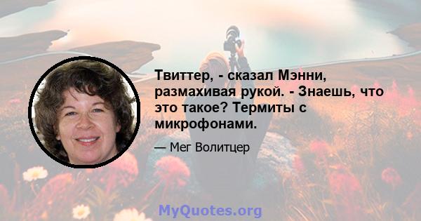 Твиттер, - сказал Мэнни, размахивая рукой. - Знаешь, что это такое? Термиты с микрофонами.