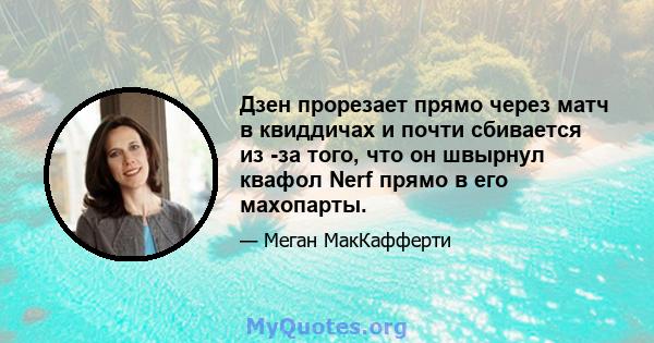 Дзен прорезает прямо через матч в квиддичах и почти сбивается из -за того, что он швырнул квафол Nerf прямо в его махопарты.