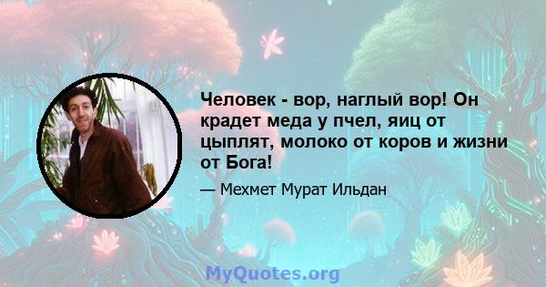 Человек - вор, наглый вор! Он крадет меда у пчел, яиц от цыплят, молоко от коров и жизни от Бога!