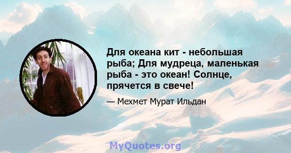 Для океана кит - небольшая рыба; Для мудреца, маленькая рыба - это океан! Солнце, прячется в свече!