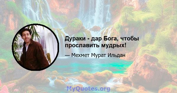 Дураки - дар Бога, чтобы прославить мудрых!