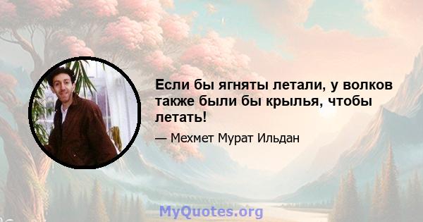 Если бы ягняты летали, у волков также были бы крылья, чтобы летать!