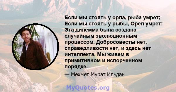 Если мы стоять у орла, рыба умрет; Если мы стоять у рыбы, Орел умрет! Эта дилемма была создана случайным эволюционным процессом. Добросовесты нет, справедливости нет, и здесь нет интеллекта. Мы живем в примитивном и