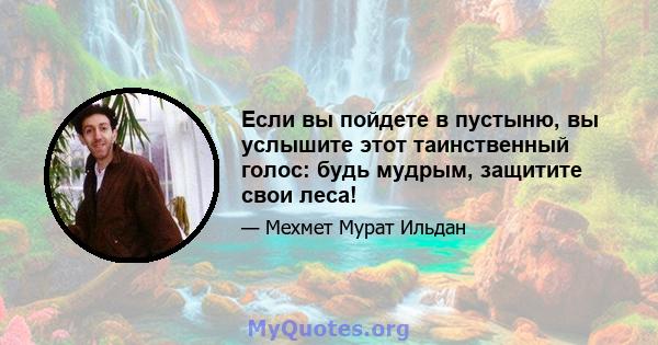 Если вы пойдете в пустыню, вы услышите этот таинственный голос: будь мудрым, защитите свои леса!