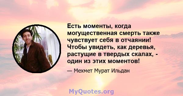 Есть моменты, когда могущественная смерть также чувствует себя в отчаянии! Чтобы увидеть, как деревья, растущие в твердых скалах, - один из этих моментов!