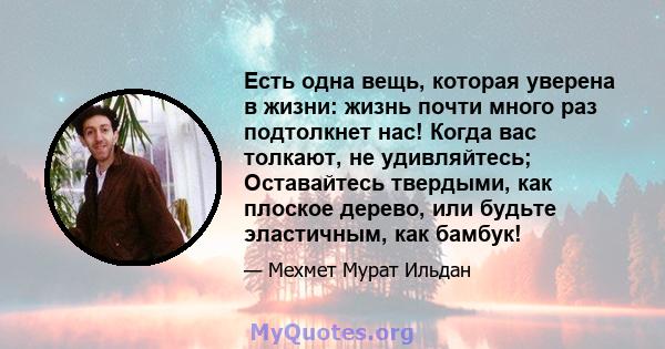 Есть одна вещь, которая уверена в жизни: жизнь почти много раз подтолкнет нас! Когда вас толкают, не удивляйтесь; Оставайтесь твердыми, как плоское дерево, или будьте эластичным, как бамбук!