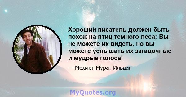 Хороший писатель должен быть похож на птиц темного леса; Вы не можете их видеть, но вы можете услышать их загадочные и мудрые голоса!