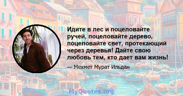 Идите в лес и поцеловайте ручей, поцеловайте дерево, поцеловайте свет, протекающий через деревья! Дайте свою любовь тем, кто дает вам жизнь!