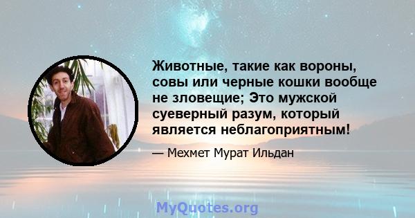 Животные, такие как вороны, совы или черные кошки вообще не зловещие; Это мужской суеверный разум, который является неблагоприятным!