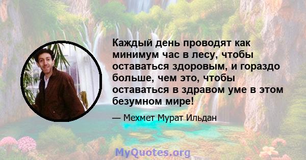 Каждый день проводят как минимум час в лесу, чтобы оставаться здоровым, и гораздо больше, чем это, чтобы оставаться в здравом уме в этом безумном мире!