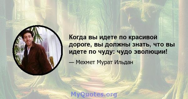 Когда вы идете по красивой дороге, вы должны знать, что вы идете по чуду: чудо эволюции!