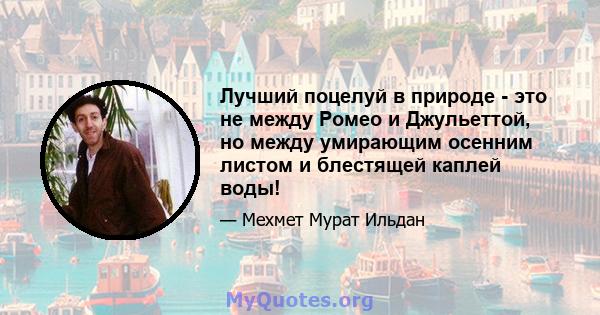 Лучший поцелуй в природе - это не между Ромео и Джульеттой, но между умирающим осенним листом и блестящей каплей воды!