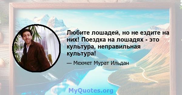 Любите лошадей, но не ездите на них! Поездка на лошадях - это культура, неправильная культура!