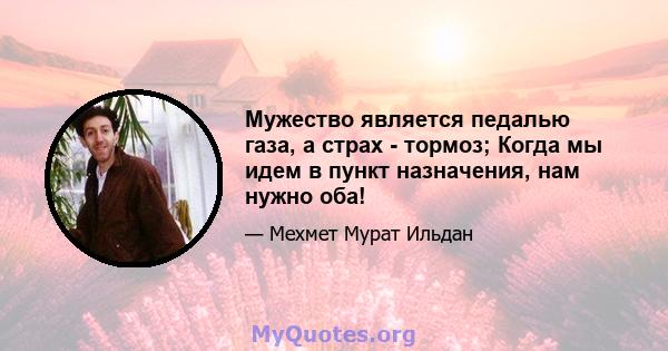 Мужество является педалью газа, а страх - тормоз; Когда мы идем в пункт назначения, нам нужно оба!