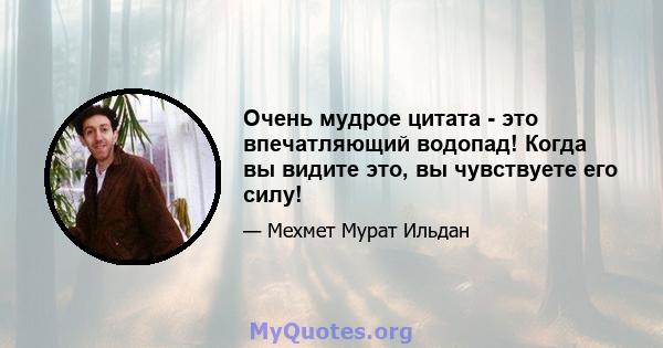 Очень мудрое цитата - это впечатляющий водопад! Когда вы видите это, вы чувствуете его силу!