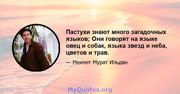 Пастухи знают много загадочных языков; Они говорят на языке овец и собак, языка звезд и неба, цветов и трав.