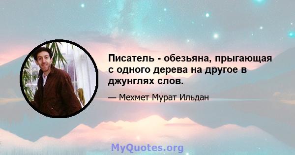 Писатель - обезьяна, прыгающая с одного дерева на другое в джунглях слов.