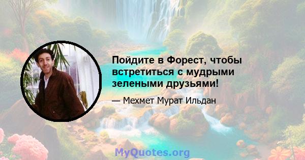 Пойдите в Форест, чтобы встретиться с мудрыми зелеными друзьями!