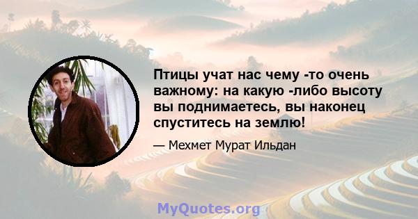 Птицы учат нас чему -то очень важному: на какую -либо высоту вы поднимаетесь, вы наконец спуститесь на землю!