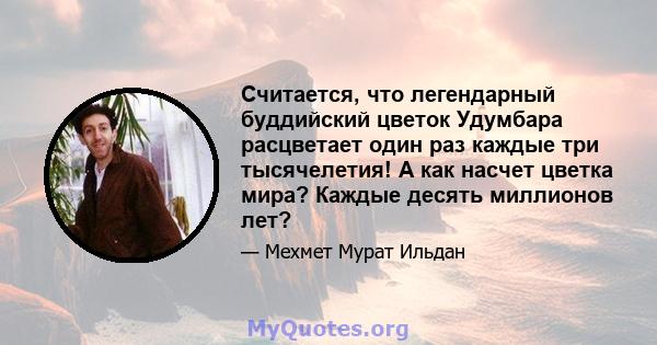 Считается, что легендарный буддийский цветок Удумбара расцветает один раз каждые три тысячелетия! А как насчет цветка мира? Каждые десять миллионов лет?