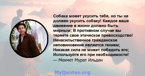 Собака может укусить тебя, но ты не должен укусить собаку! Каждое ваше движение в жизни должно быть мирным; В противном случае вы теряете свое этическое превосходство! Ненасильственное гражданское неповиновение является 