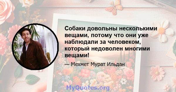 Собаки довольны несколькими вещами, потому что они уже наблюдали за человеком, который недоволен многими вещами!