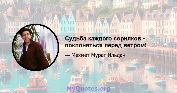 Судьба каждого сорняков - поклоняться перед ветром!